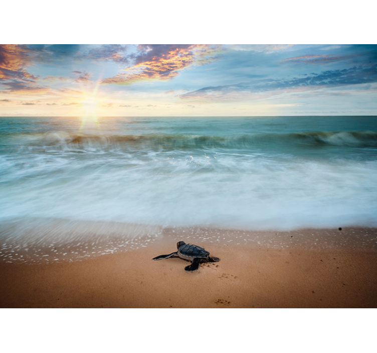 Turtle on the coast animal wall mural - TenStickers