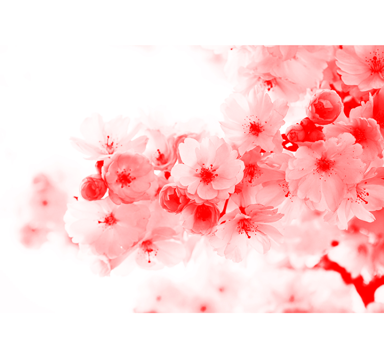 Abstract Flower Tree zen mural wallpaper - TenStickers