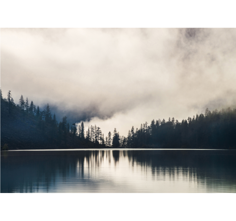 Trees and reflections on water lake wall mural - TenStickers