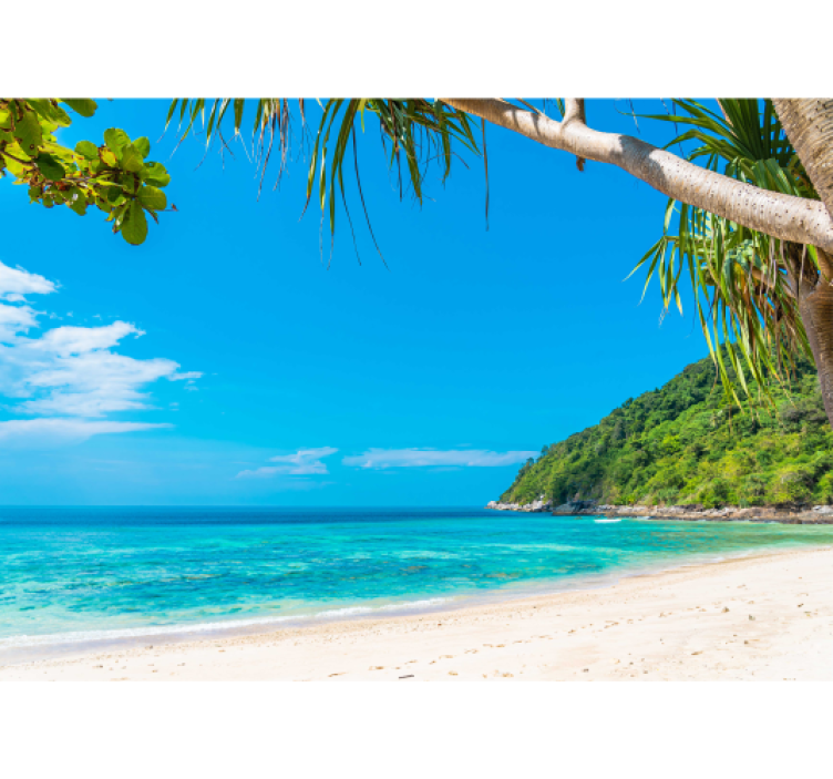 Tropical Coastal Landscape under the sea wall mural - TenStickers