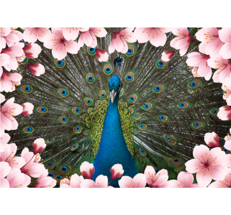 Majestic Peacock Display animals wall mural - TenStickers