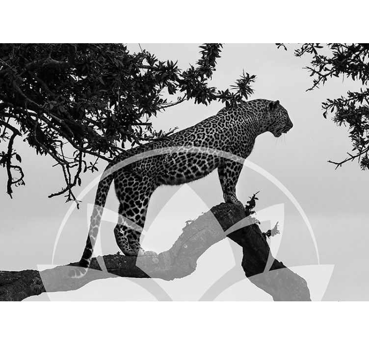Leopard in Tree animals wall mural - TenStickers