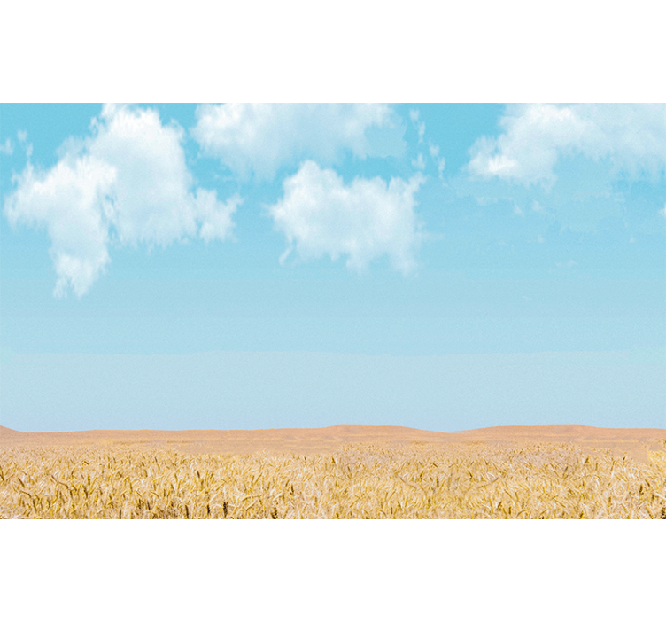 Sky and Wheat landscape wall mural - TenStickers