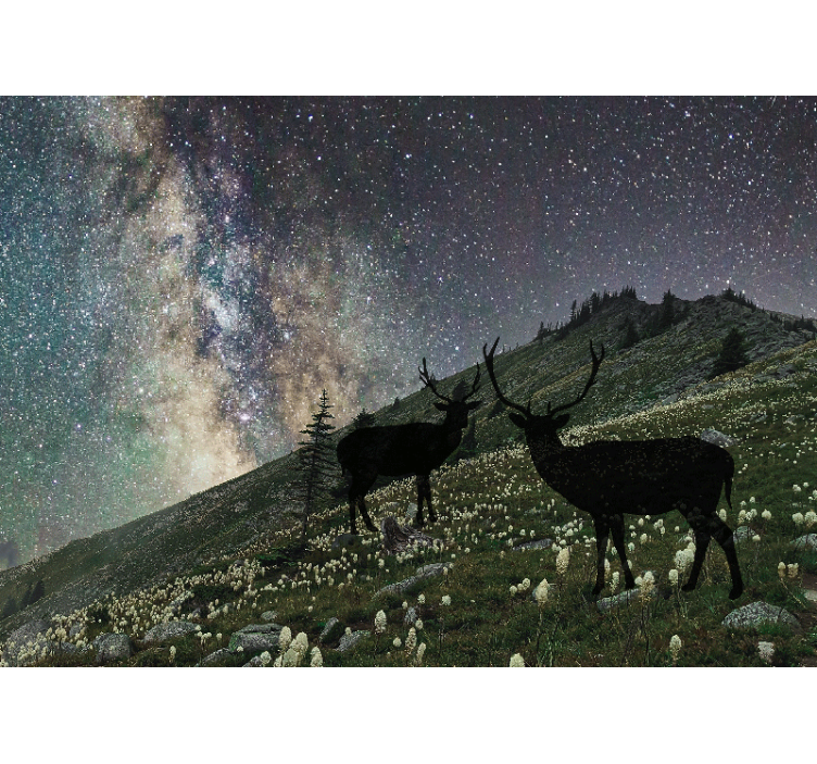 Starry Night Deers forest wall mural - TenStickers