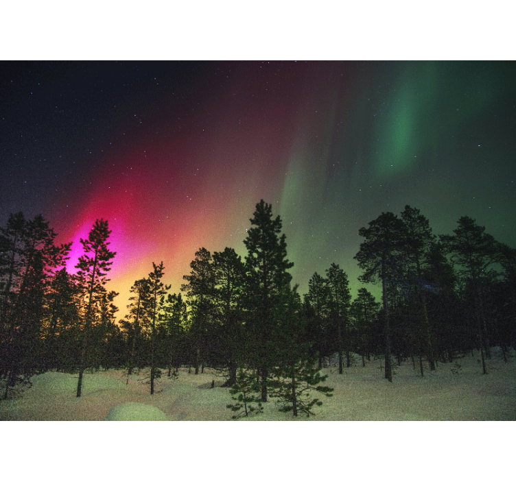 Aurora Borealis Display wall mural nature - TenStickers