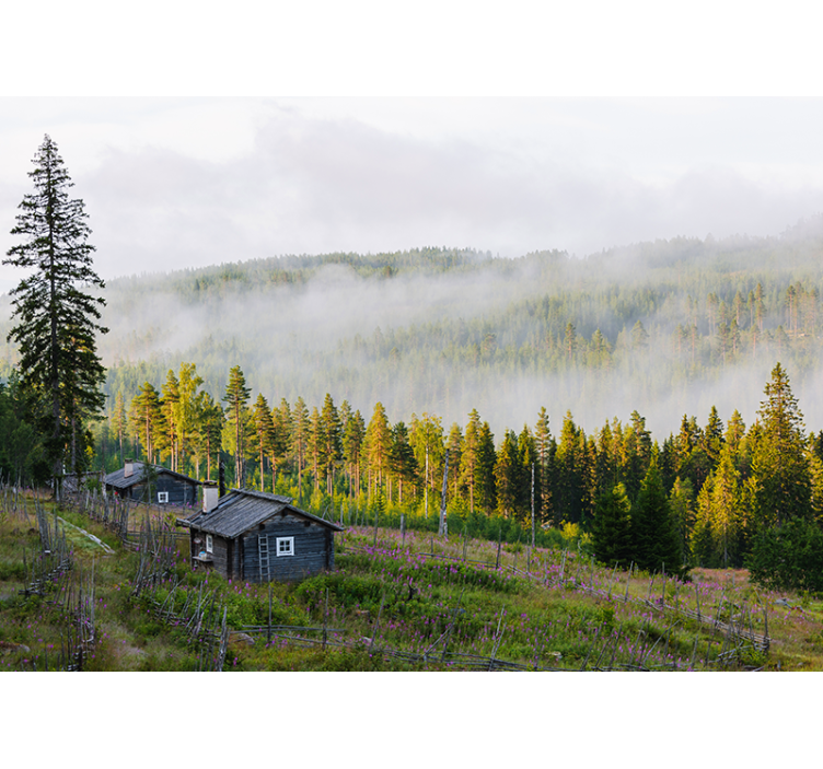 Mist Covered Forest landscape wall mural - TenStickers