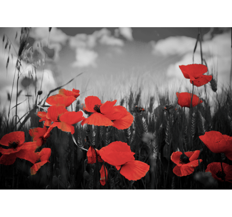 Radiant Floral Blooms poppy wall mural - TenStickers