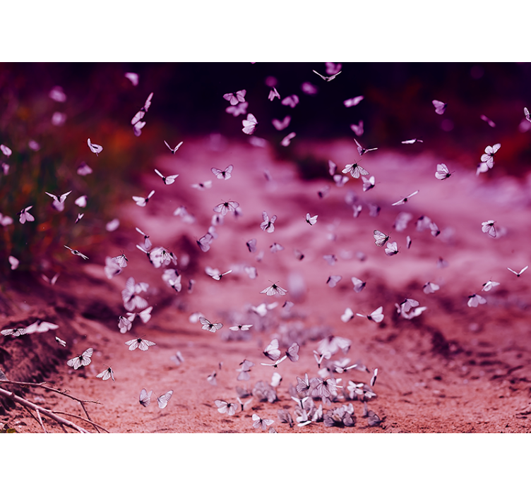 Delicate Butterfly Dance flower wall mural - TenStickers