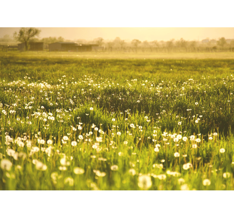 Flower wall mural dandelion meadow scene - TenStickers