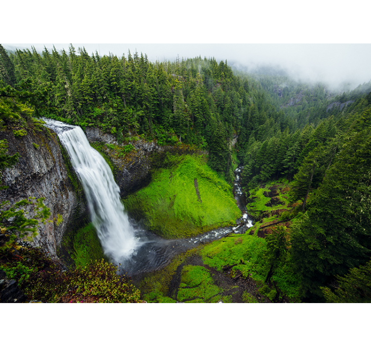 Peaceful waterfall in green forest  wall mural - TenStickers