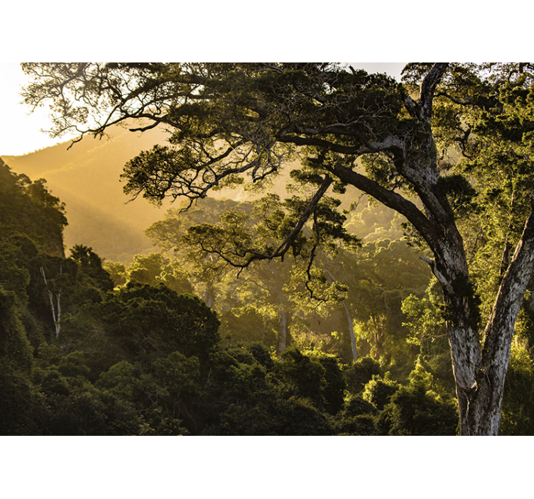 Wall mural nature verdant woodland landscape - TenStickers