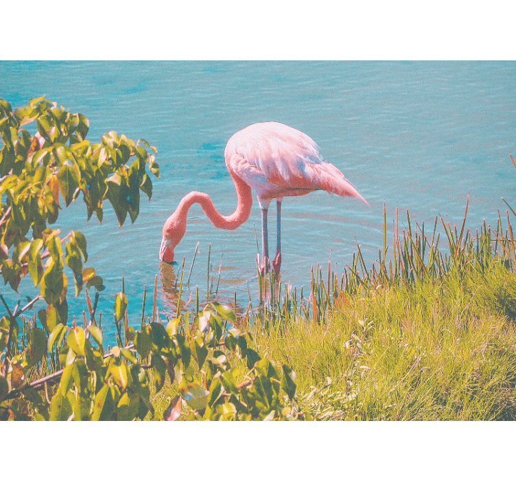 Pink Flamingo Serenity animals wall mural - TenStickers