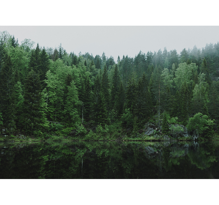 Trees and lake Forest Wall Mural - TenStickers