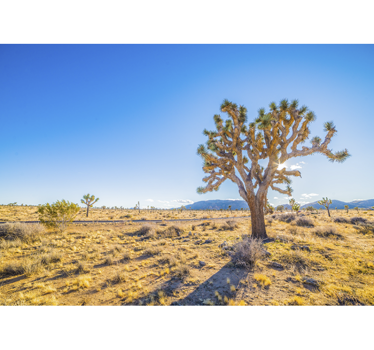 Wall mural mountain joshua tree landscape - TenStickers