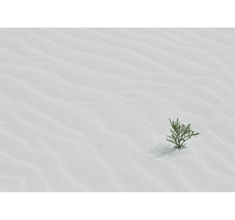 Wall mural nature sand and greenery - TenStickers