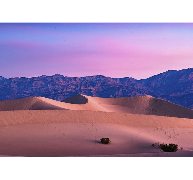 Desert wall mural golden dunes landscape - TenStickers