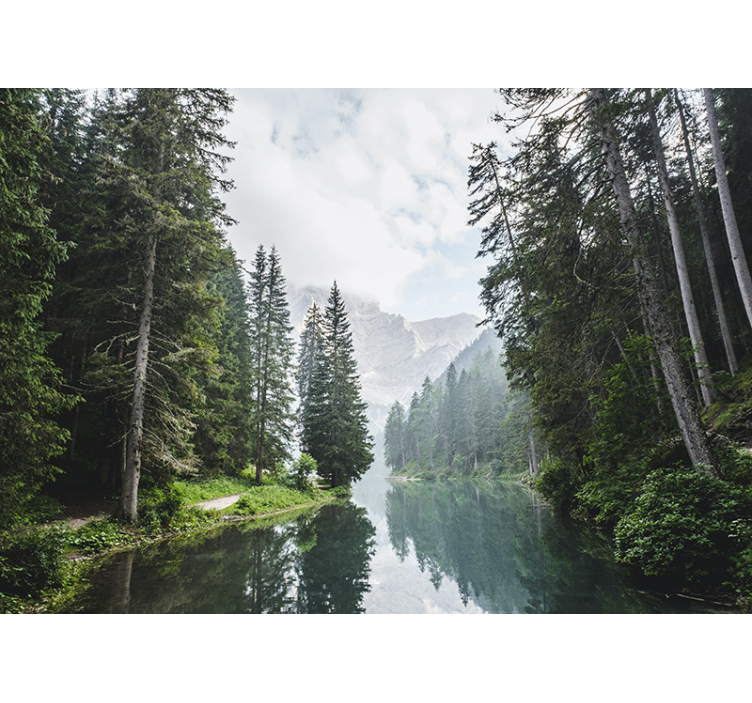 Tranquil forest echo landscape wall mural - TenStickers