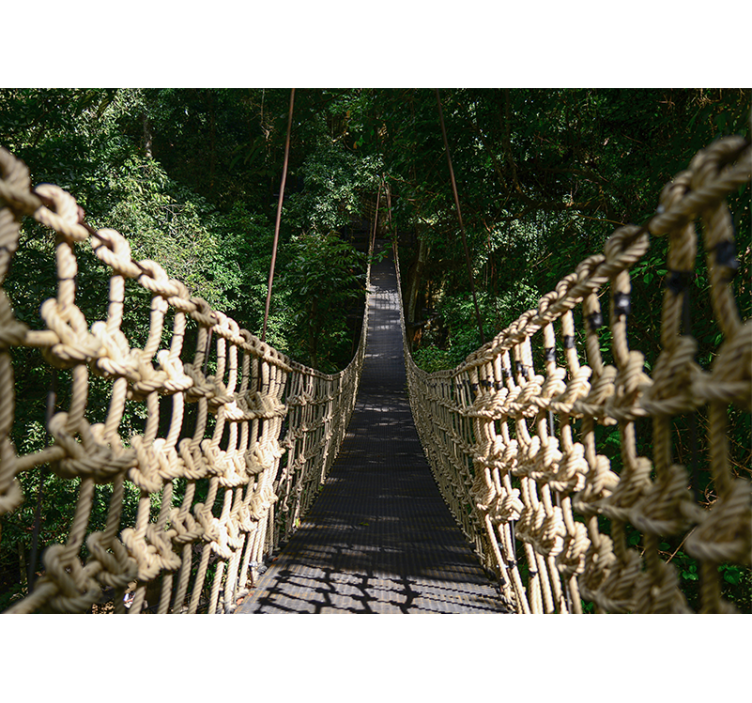 Wall mural nature suspended forest path - TenStickers