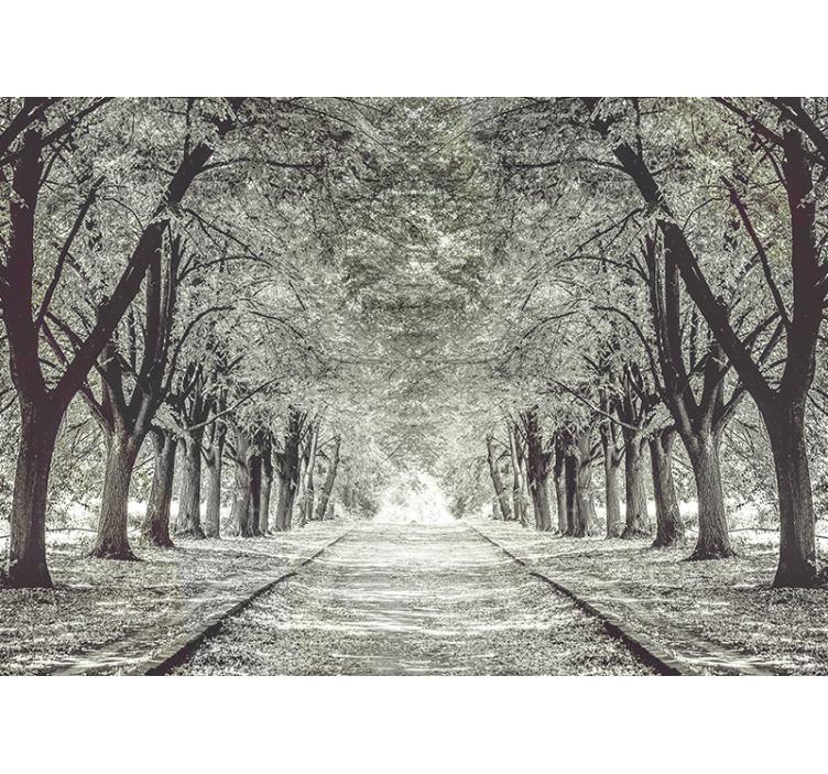 Path with trees Forest Wall Mural - TenStickers