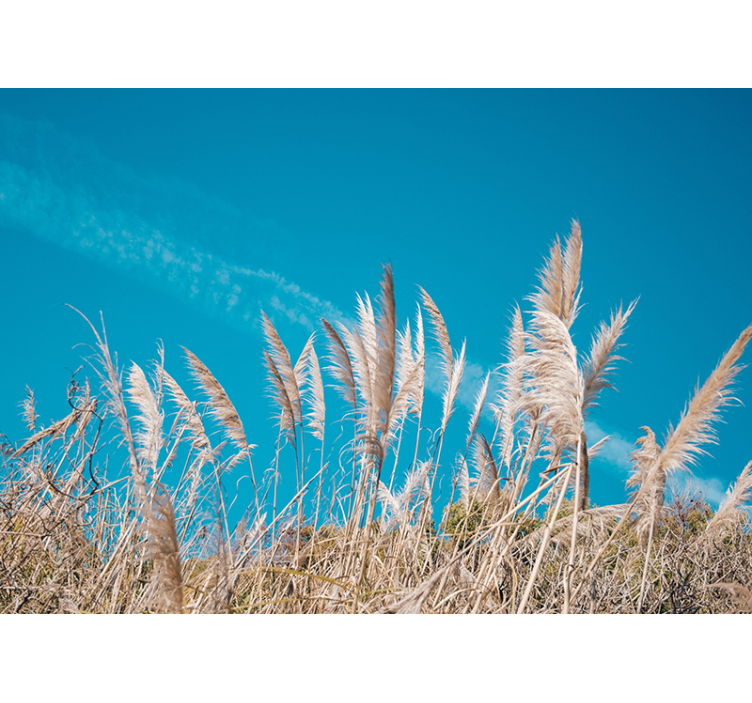 Flower wall mural pampas grass serenity - TenStickers