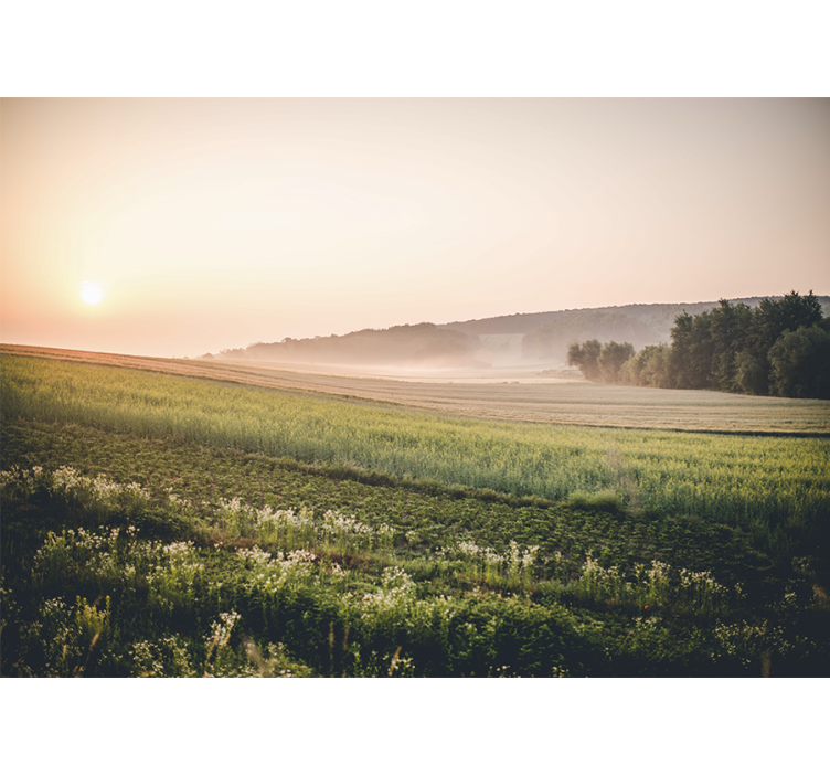 Tranquil green meadows landscape wall mural - TenStickers