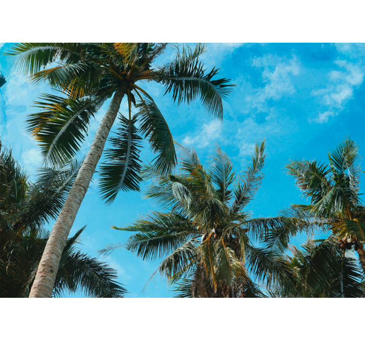Wall mural nature palm trees in the sky - TenStickers