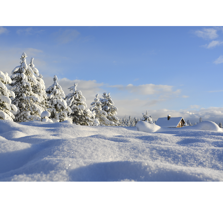 Landscape wall mural winter snowy scene - TenStickers