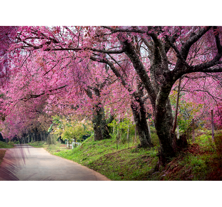 Flower wall mural blossom path - TenStickers