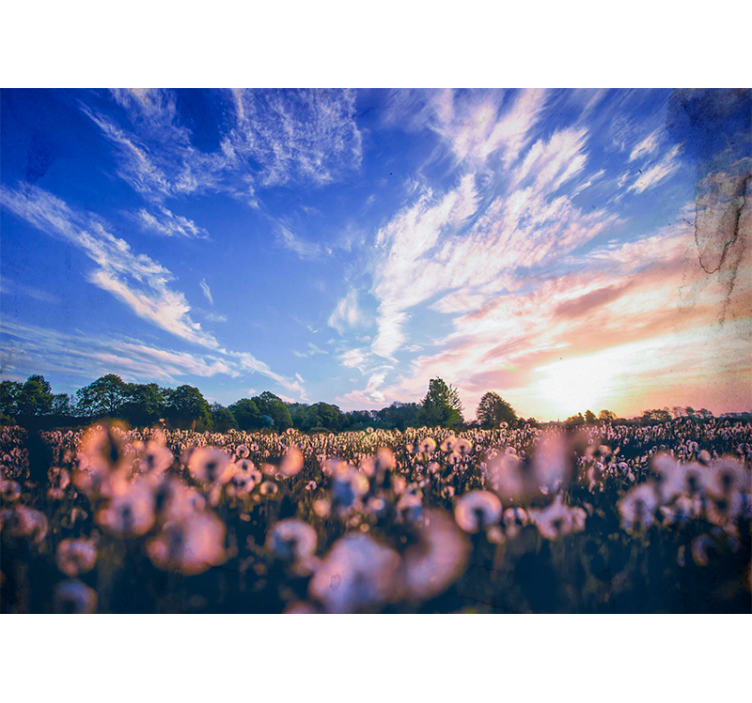 Flower wall mural dandelion field serenity - TenStickers