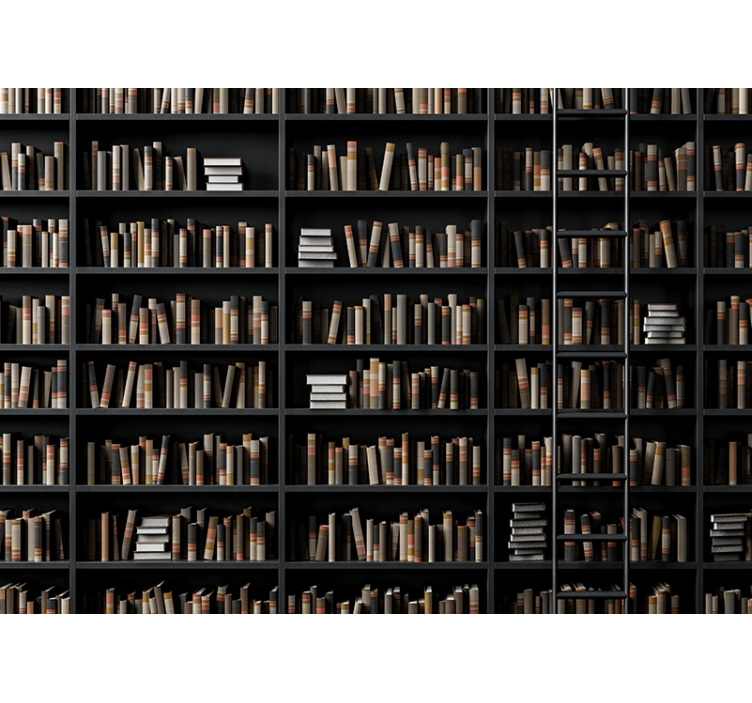 Mural stone wall library book collection - TenStickers