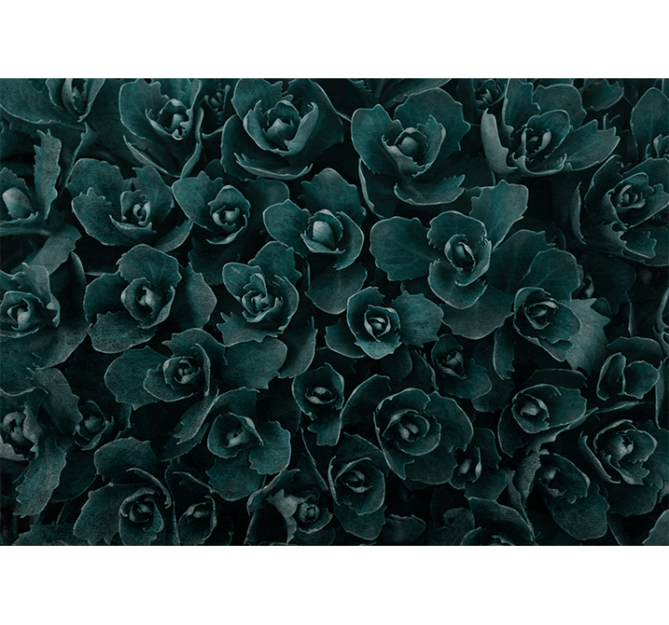 Elegant rose bloom flower wall mural - TenStickers