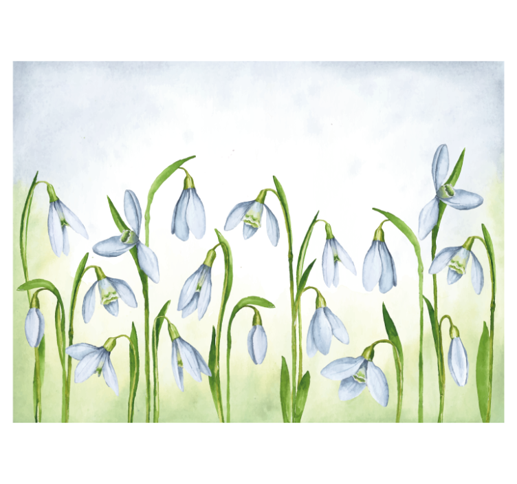 Beautiful snowdrops flower design wall mural - TenStickers