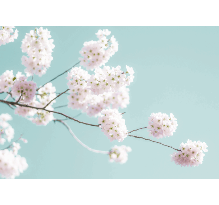 Flower wall mural sakura blossom branch design - TenStickers