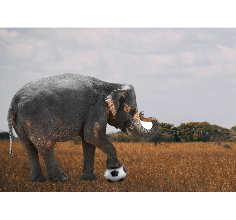 Animals wall mural elephant playing soccer - TenStickers
