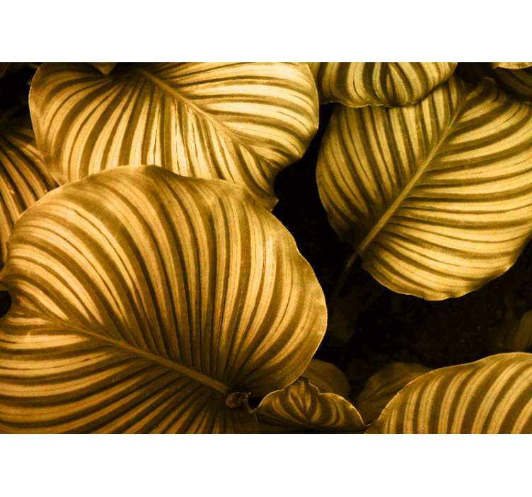 Flower wall mural golden leaf patterns - TenStickers