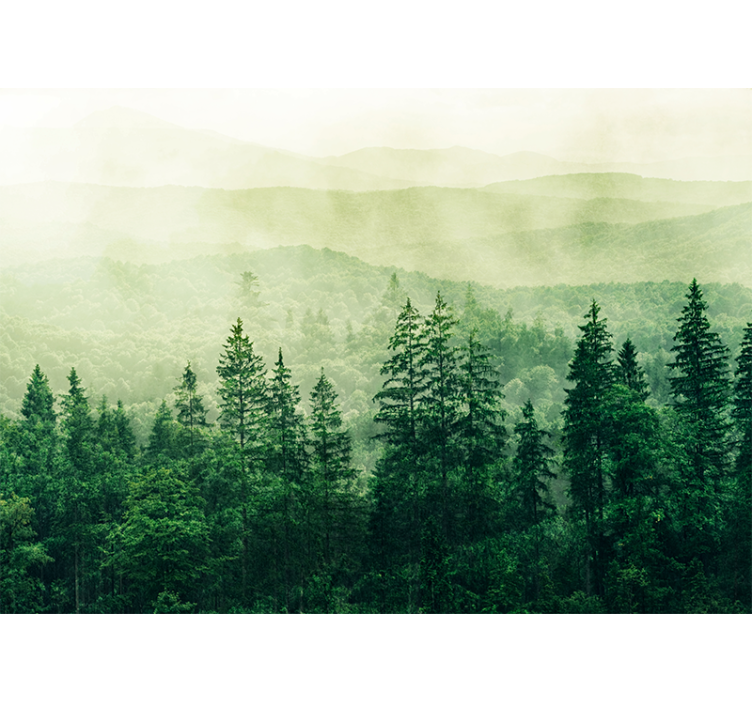 Wall mural nature misty green landscape - TenStickers