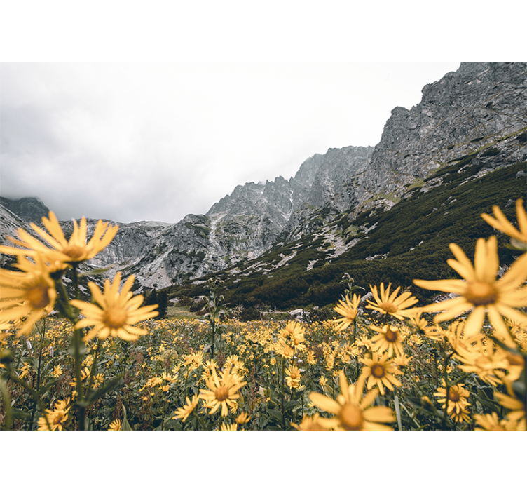 Beautiful field with river Mountain wall mural - TenStickers