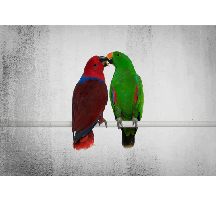 Hugging Parots wall mural - TenStickers
