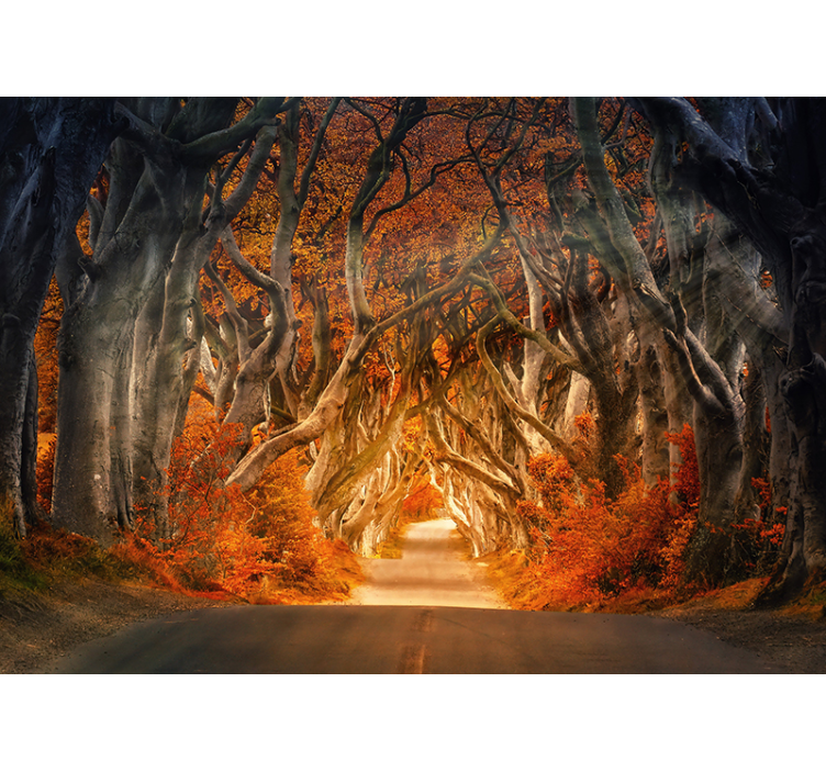 Enchanted Gateway forest wall mural - TenStickers