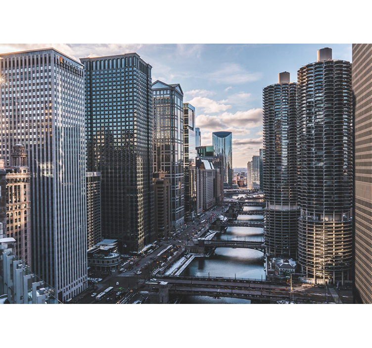 City wall mural chicago skyline view - TenStickers