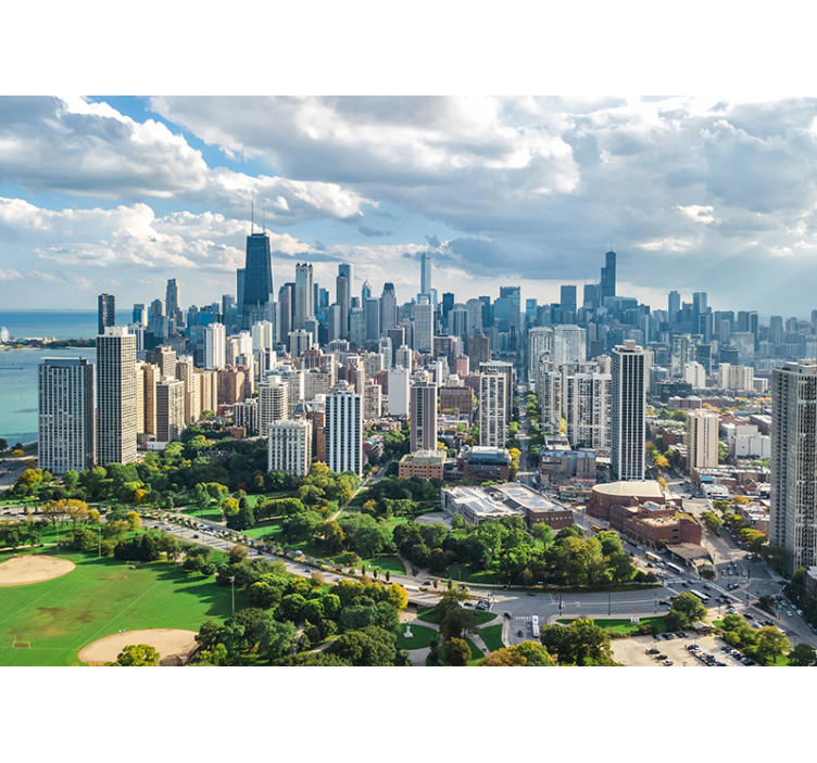 City wall mural Chicago City and Lincoln park - TenStickers