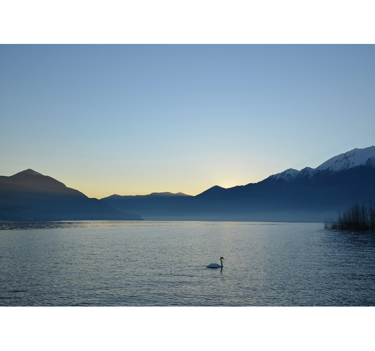 Landscape wall mural serene water reflection - TenStickers