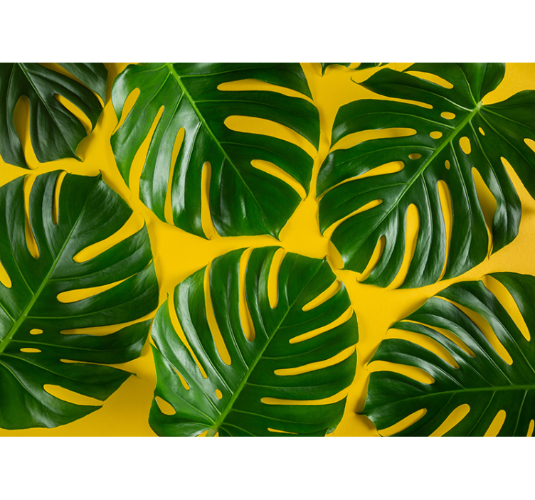 Green and yellow monstera wall mural - TenStickers