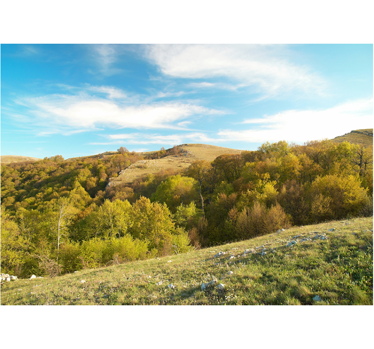 Landscape wall mural rolling hill scenery - TenStickers