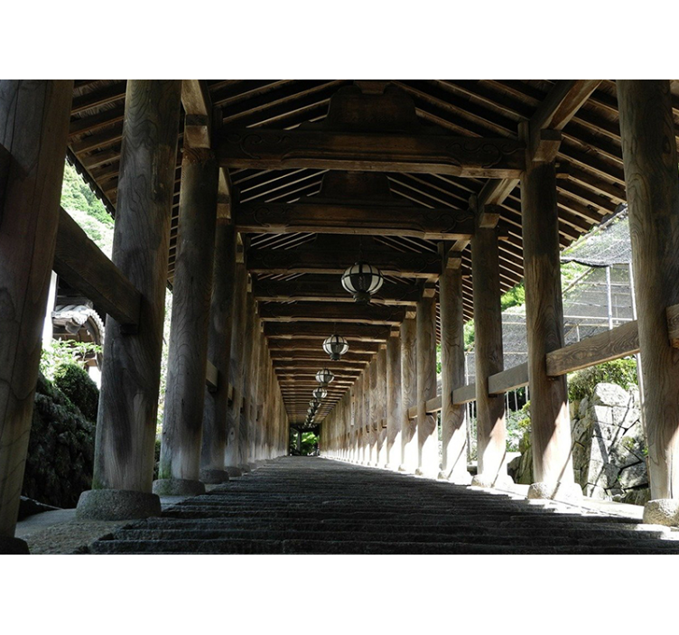 Forest wall mural wooden pathway perspective - TenStickers