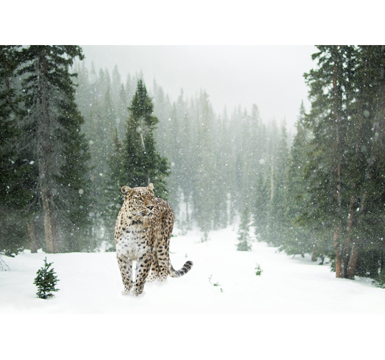 Animals wall mural snowy leopard walk - TenStickers