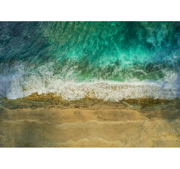 Coastal Plant Arrangement wall mural nature - TenStickers