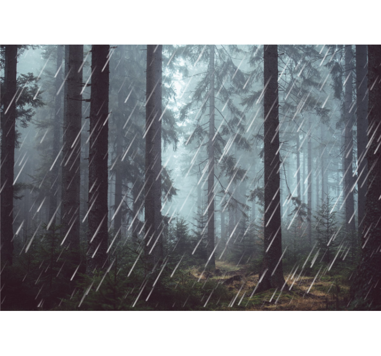 Serene Rainy forest wall mural - TenStickers