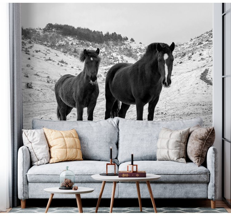 Animals wall mural majestic black horses - TenStickers