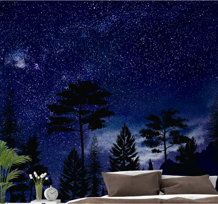 Colourful night sky galaxy Marriage Wall Murals - TenStickers